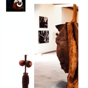 Duke University Press African Art eBook Kindle Edition 344 Pages-0