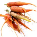 Vegetable Gardening Guide by Cool Springs Press Kindle eBook 162 Pages-0