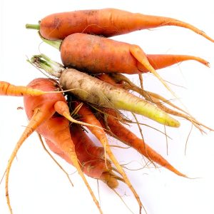 Vegetable Gardening Guide by Cool Springs Press Kindle eBook 162 Pages-0
