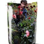 Container Gardening Kindle eBook by Kyle Books 306‑Page Insect Science-0